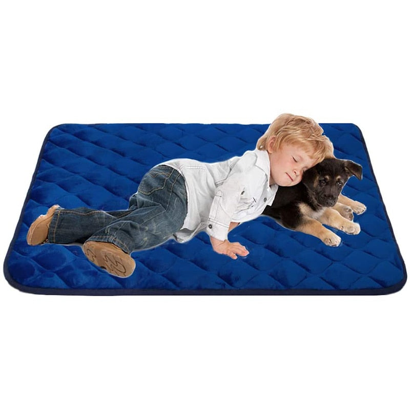 Anti Slip Bottom Dog Mat