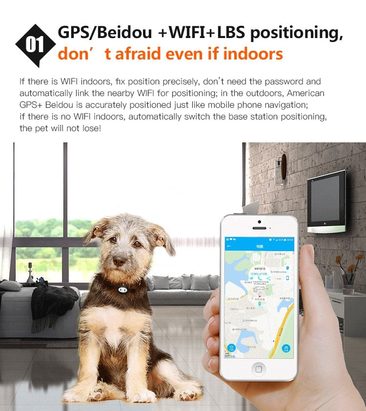 4G Smart Dog Gps Tracker Collar