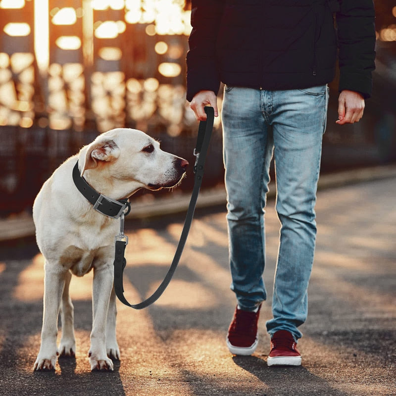 2 Hooks Traffic Control Safety Dog Leashes