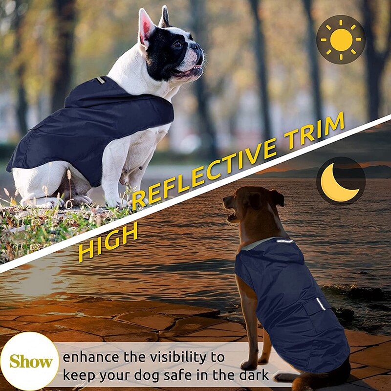 Big Dogs Reflective Raincoat