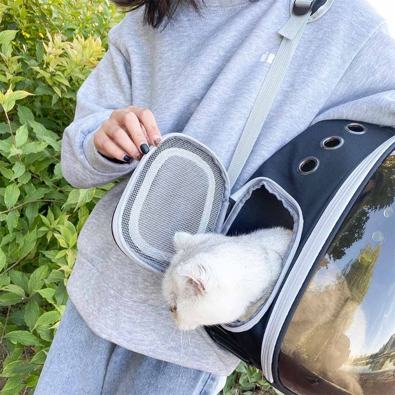 Transparent Pet Bubble Backpack