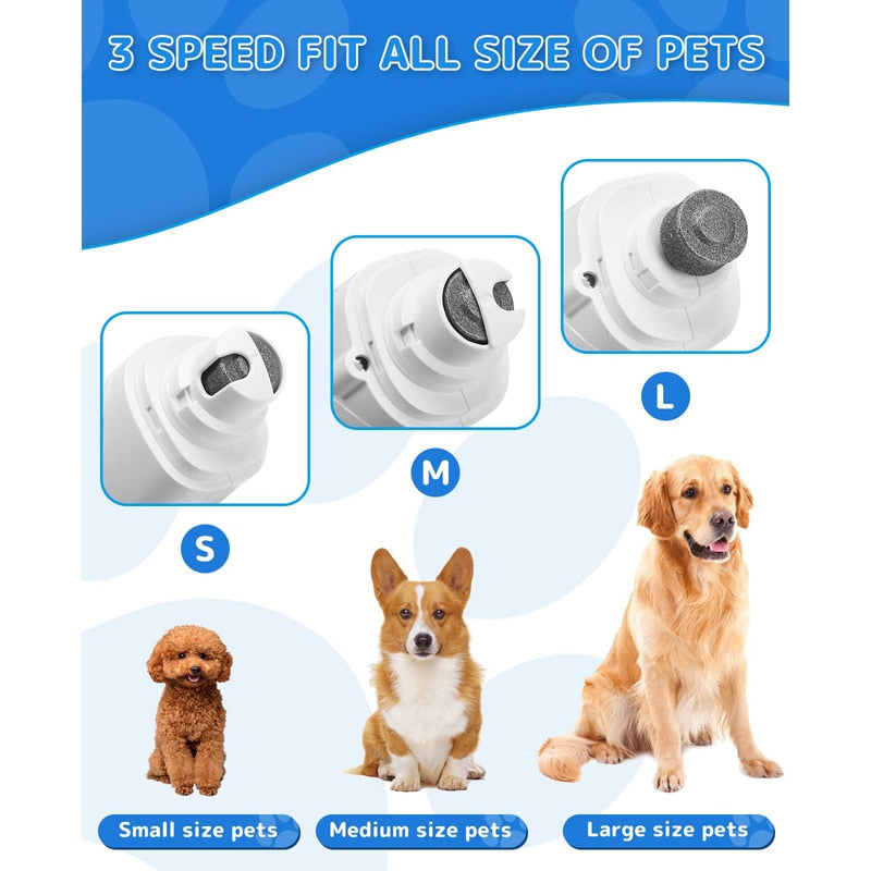 2 In 1 LED Light Low Noise Pet Nail Clipper