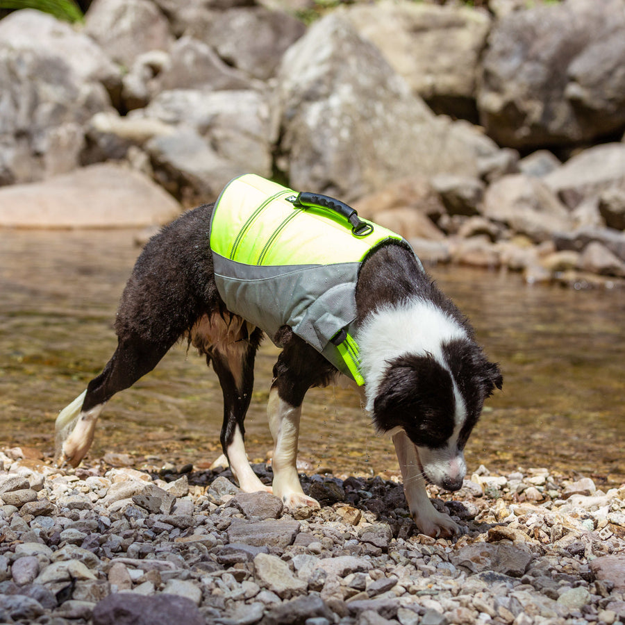 Reflective Safety Dog Life Jacket