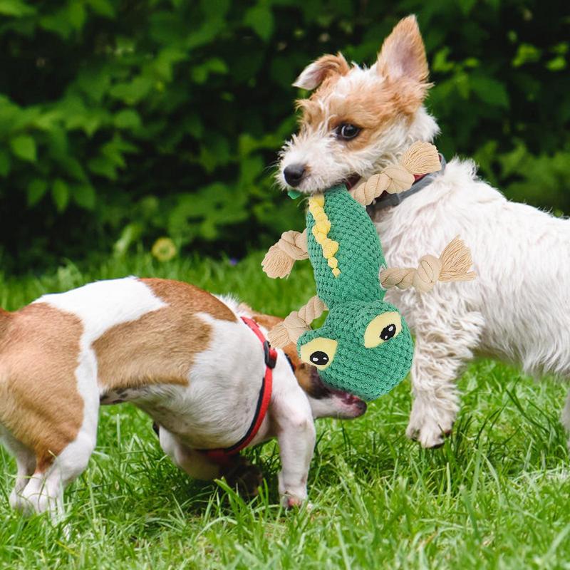 Fun Lizard Plush Pet Toy