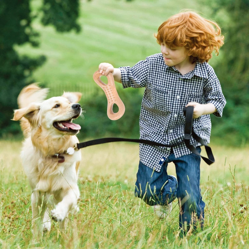 Natural Wood Durable Dog Chew Toy