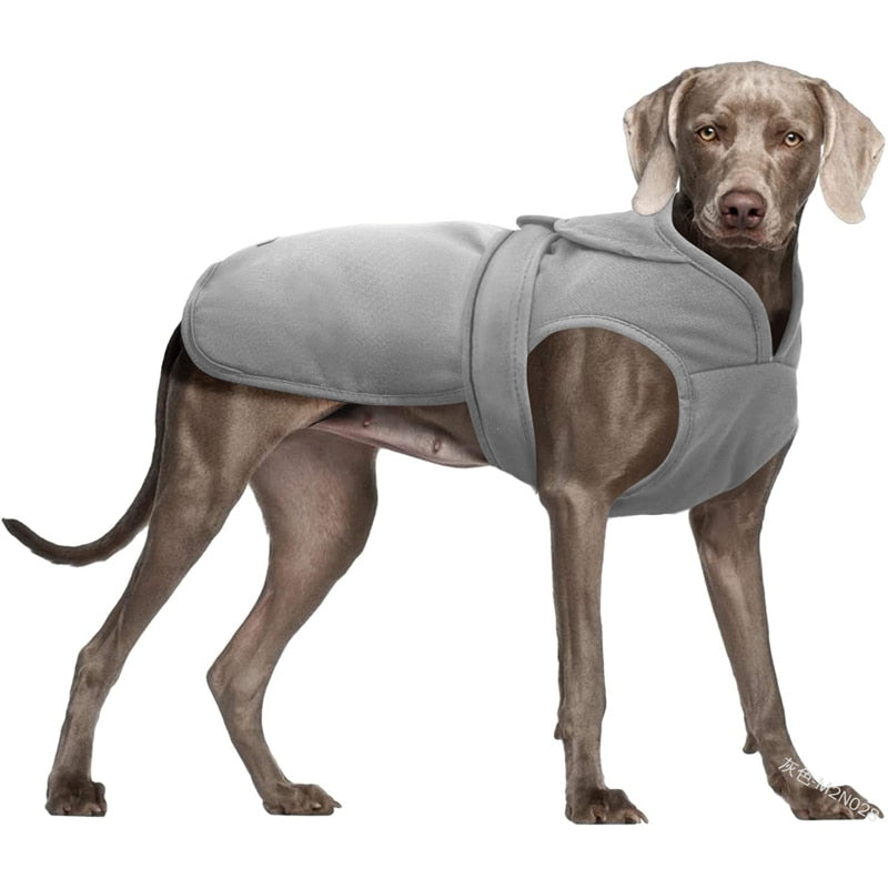 Cotton Canvas Winter Dog Coat