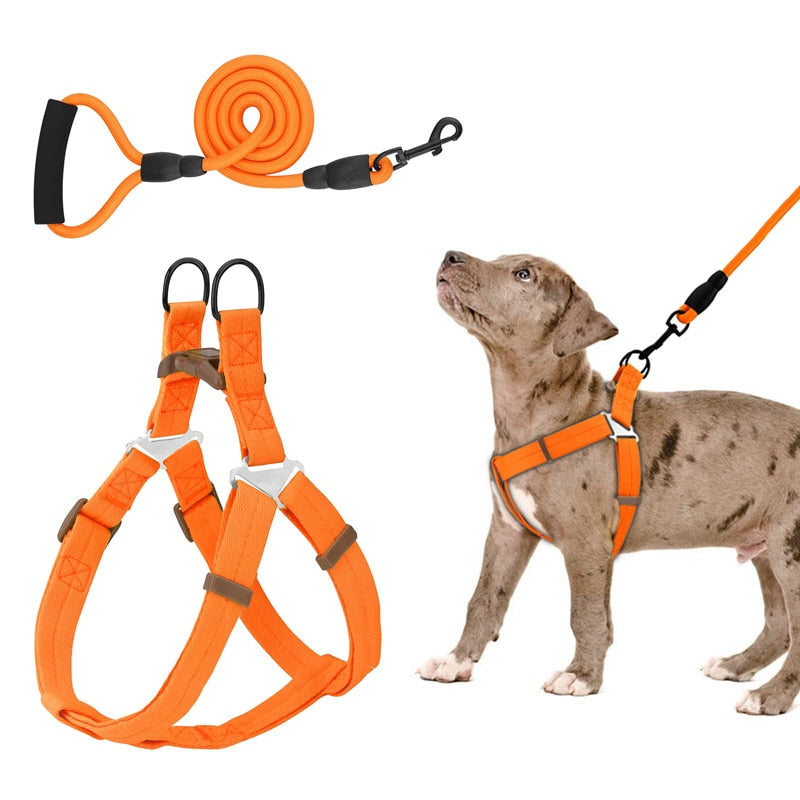 No Pull Dog Halter Harness Leash Set