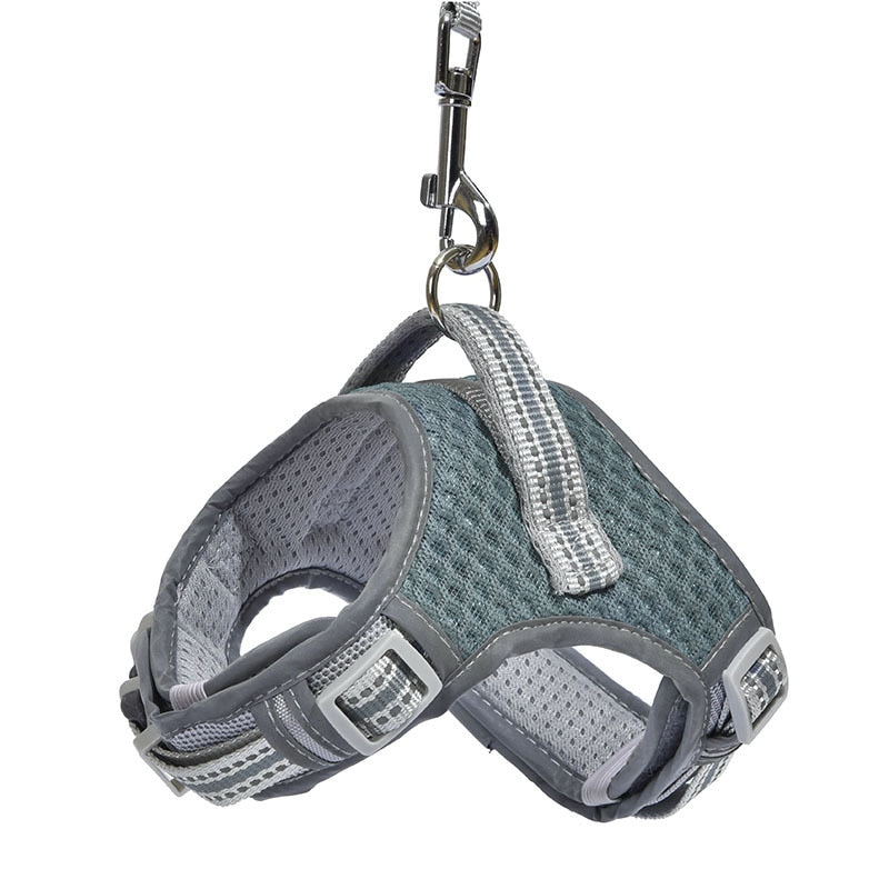 No Pull Air Mesh Dog Harness & Leash Set