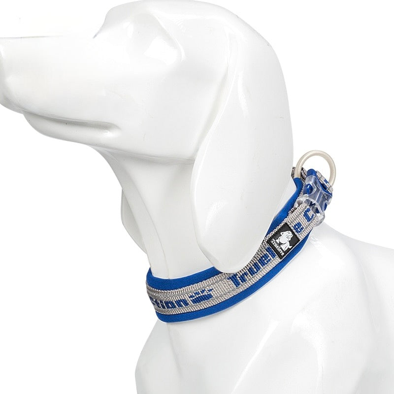 Reflective Sturdy Duraflex Buckle Dog Collar