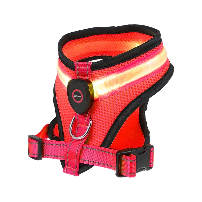 USB Rechargeable LED Dog Harness