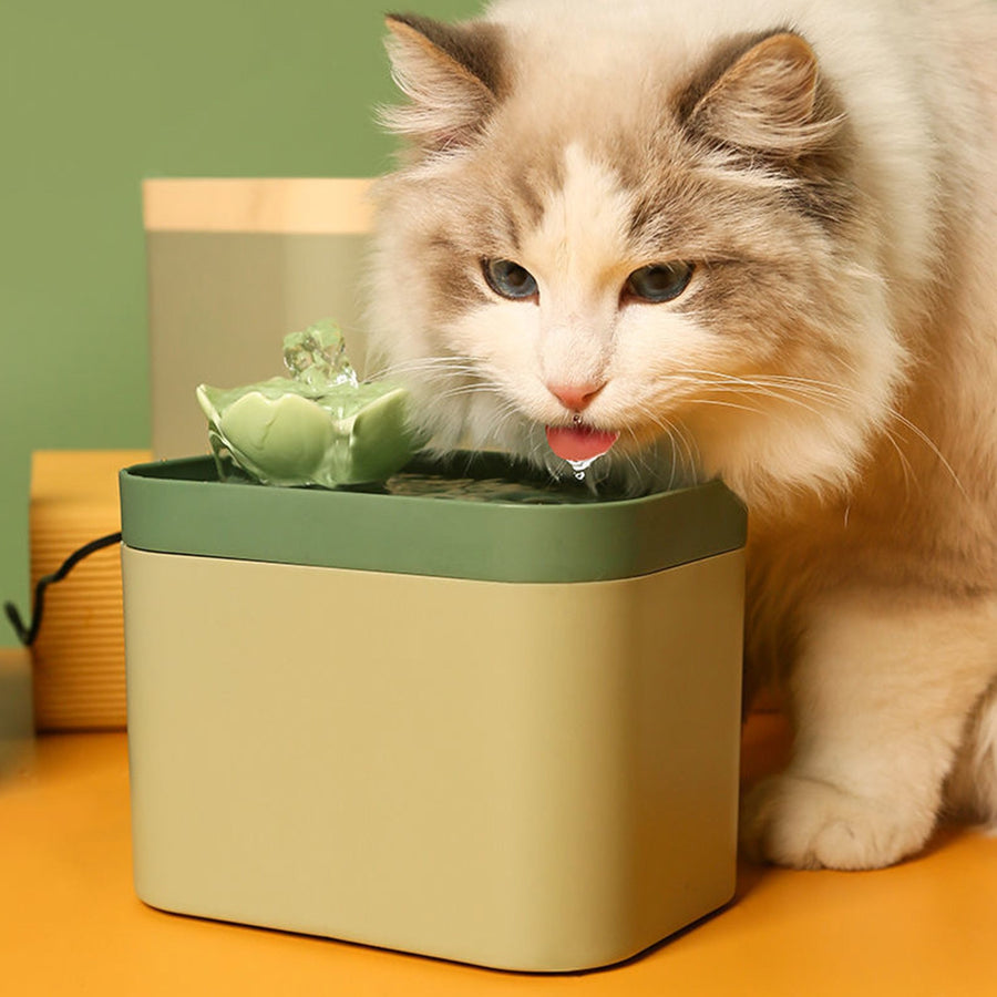 Green Ceramic Pet Water Fountain