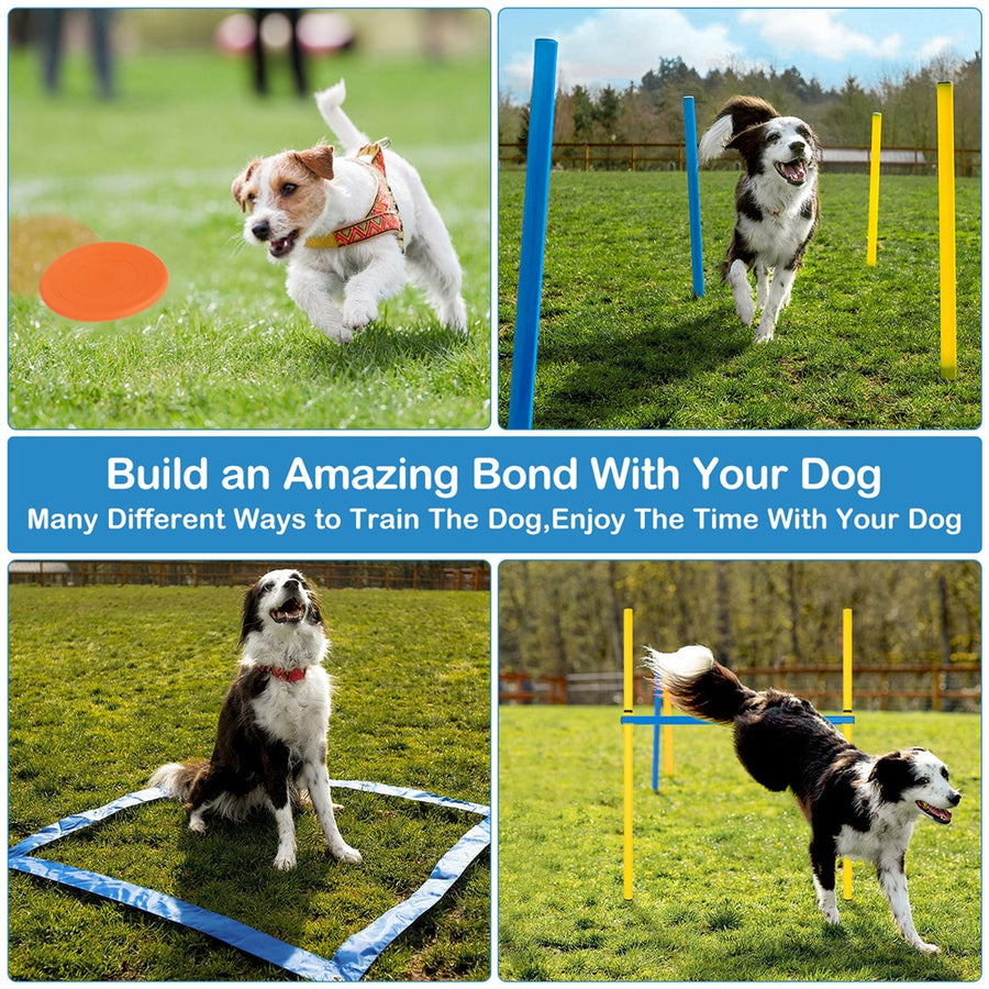 Dog Agility Training Obstacle Course Kit