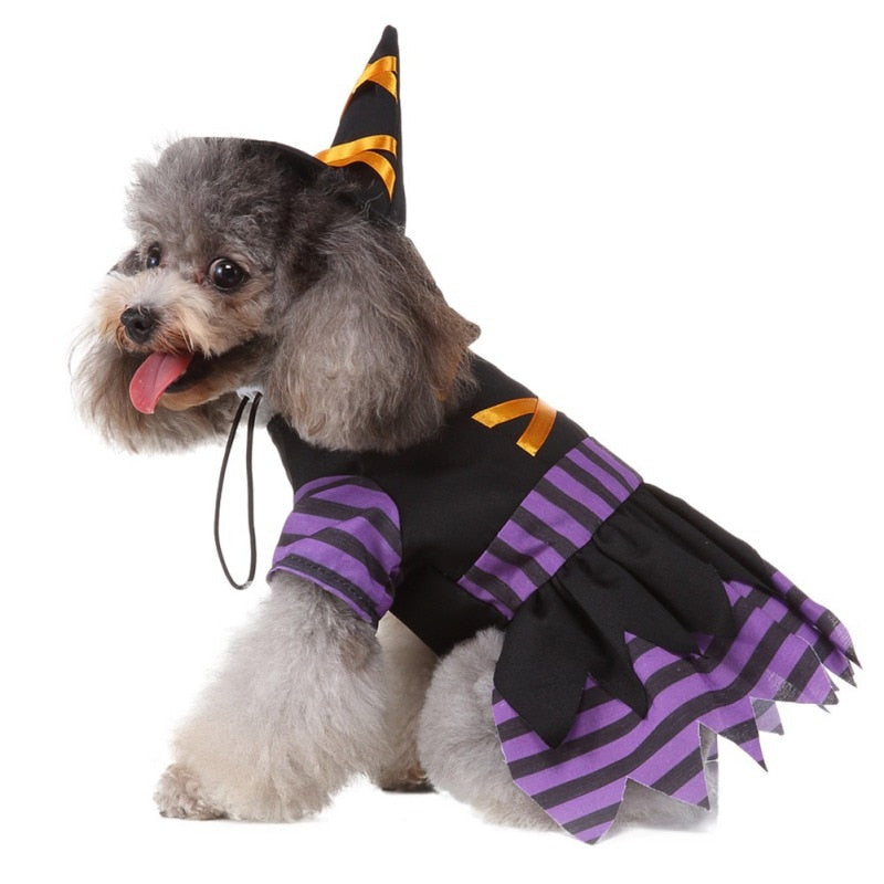 Halloween Funny Wizard Dog Costumes