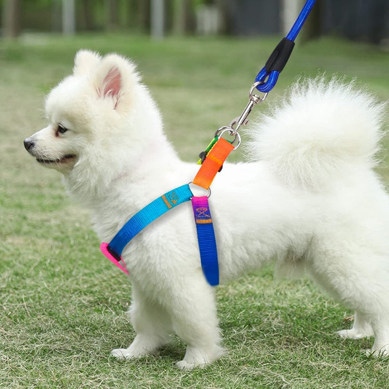 Rainbow No Pull Dog Harness Leash Set