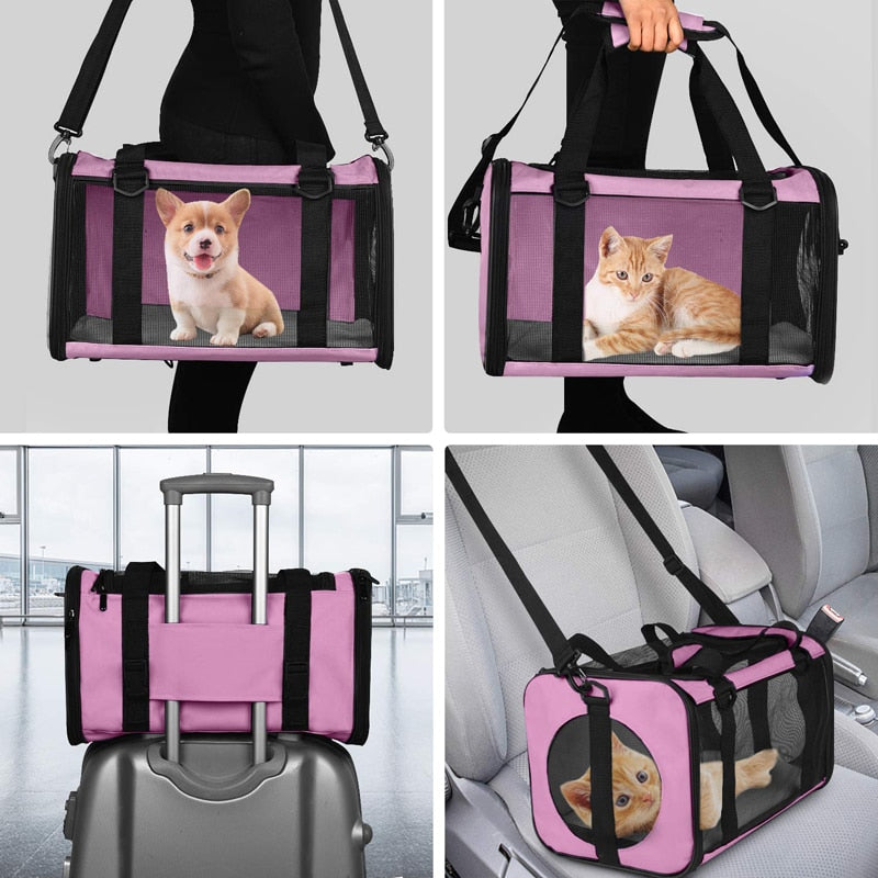 Collapsible Removable Mat Pet Transporter