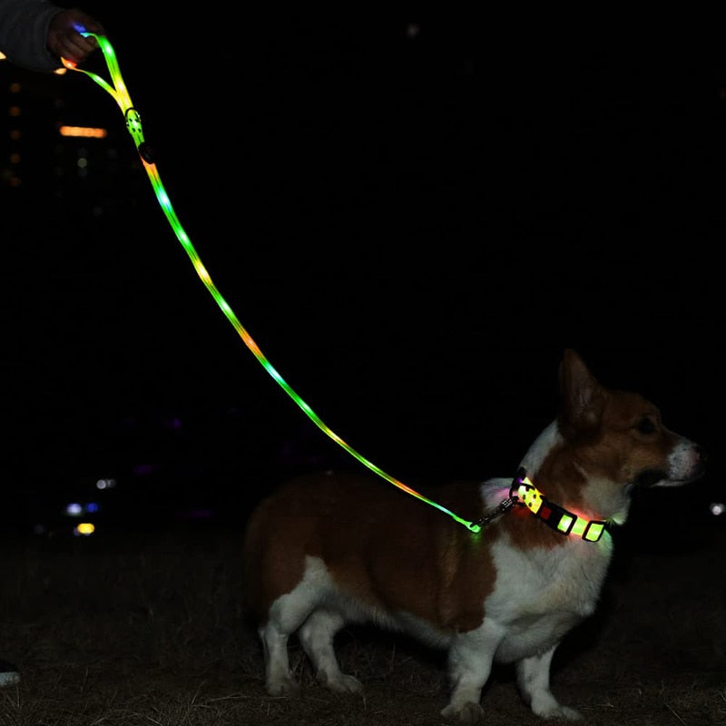 Light Up Led Dog Leashes And Collar