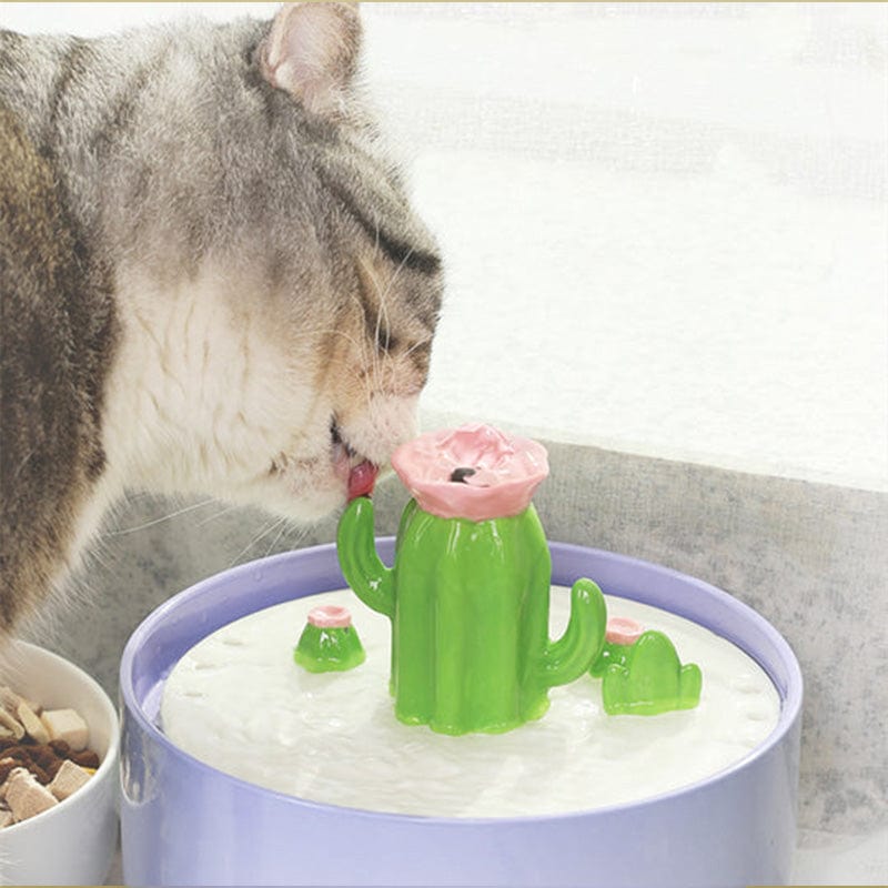 Large Ceramic Cactus Cat Water Fountain