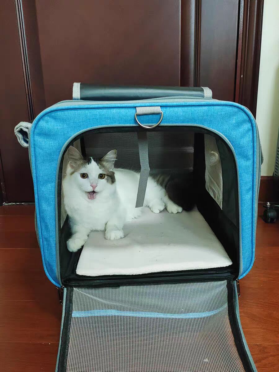 Pet Carrier With Detachable Wheels