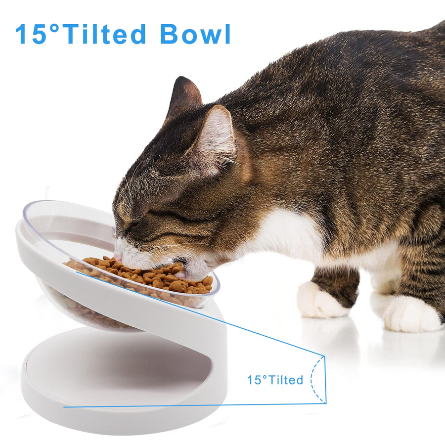 15° Tilt Pet Feeding Bowl