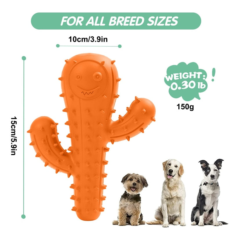 Interactive Cactus Squeaky Dog Toy