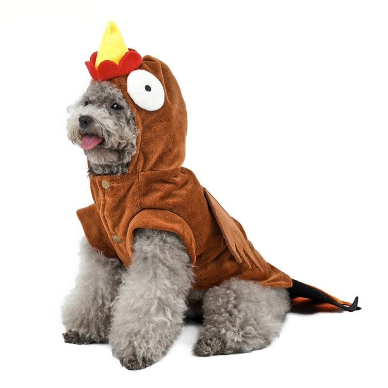 Funny Turkey Dog Costumes