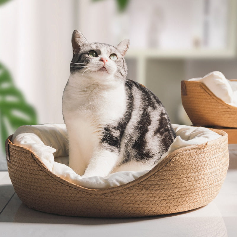 Four Season Bamboo Weaving Pet Bed