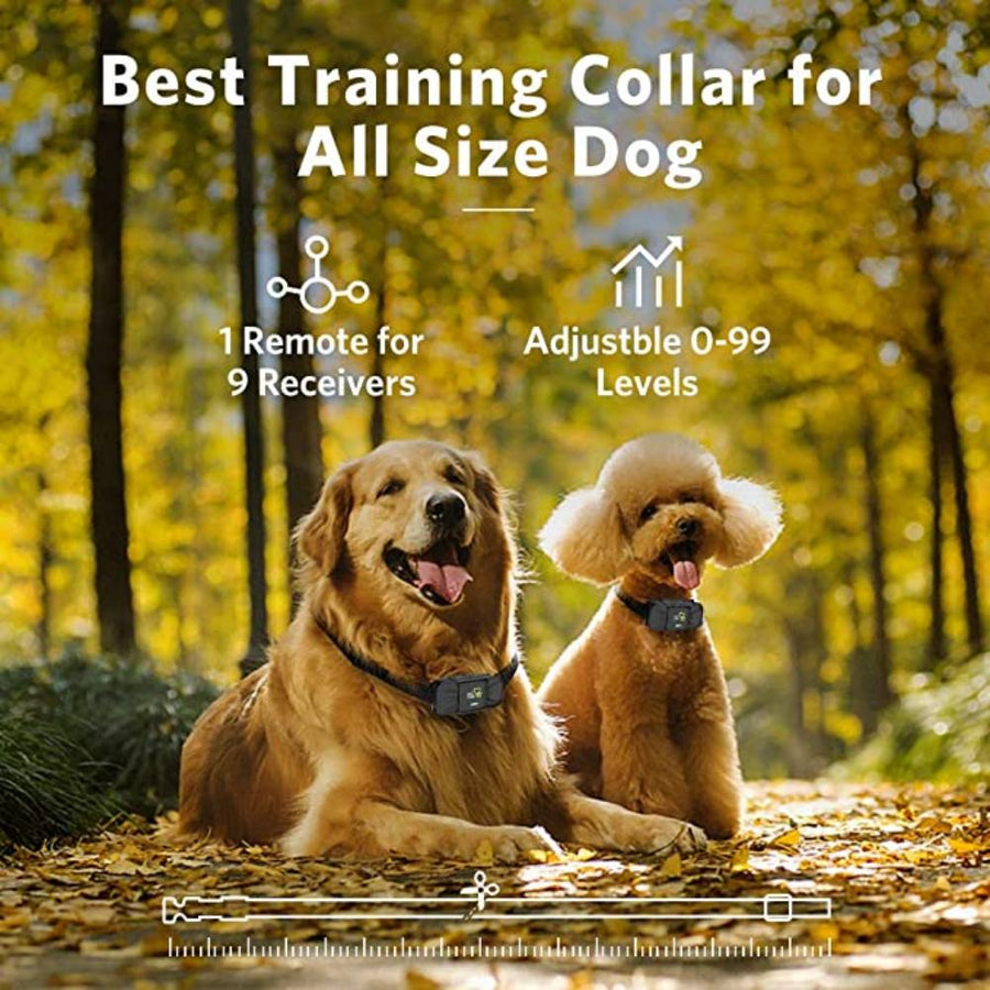 1000m Anti Bark Training Dog Collar