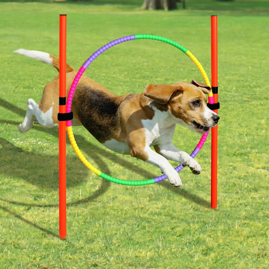 Dog Agility Cone Training Equipment