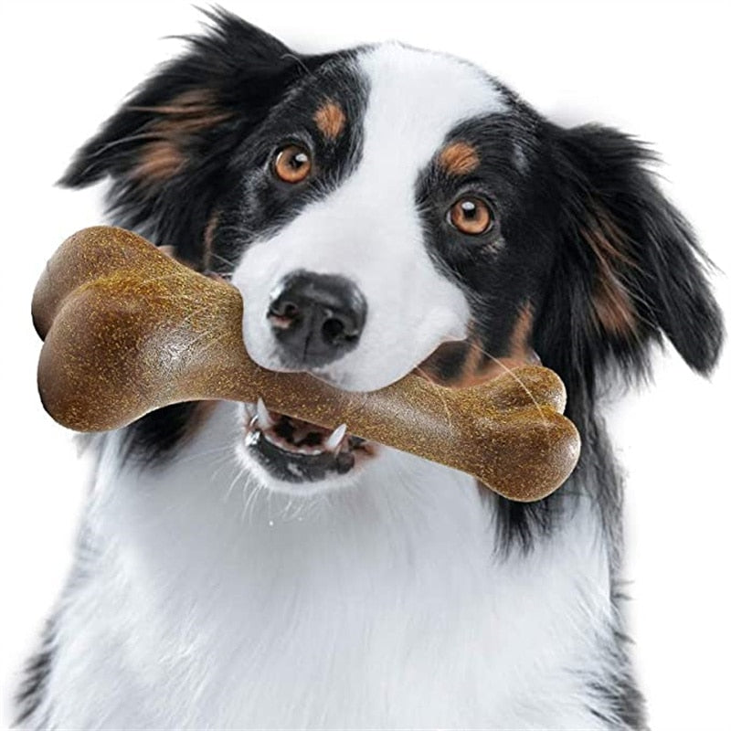 Natural Near Indestructible Dog Bone Toy