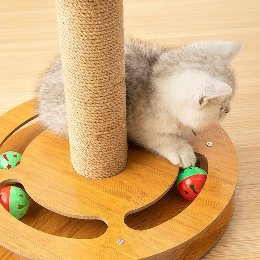 4 In 1 Cat Scratching Post