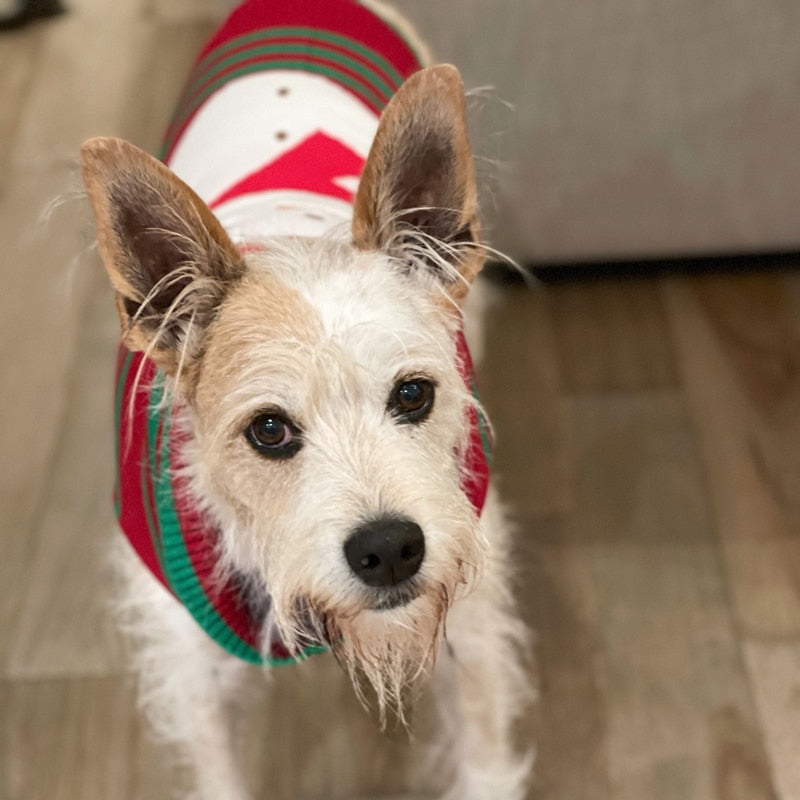 Christmas Snowman Dog Sweater