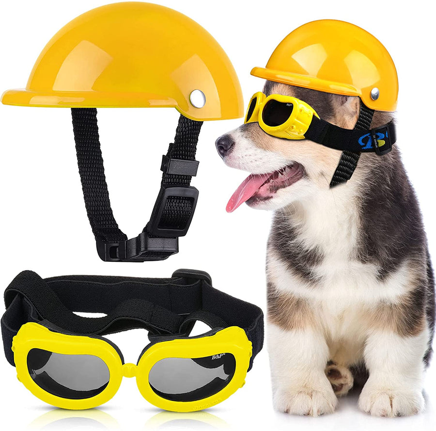 Outdoor Dog Helmet And Goggles