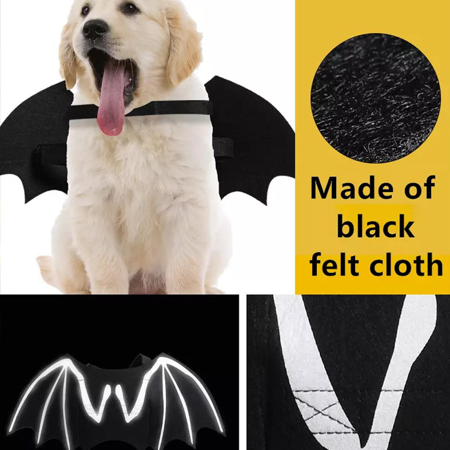 Halloween Dog Luminous Bat Costumes