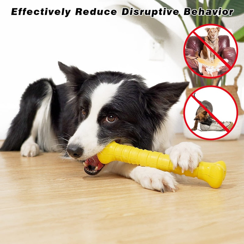 Squeaky Dog Chew Bone Toys