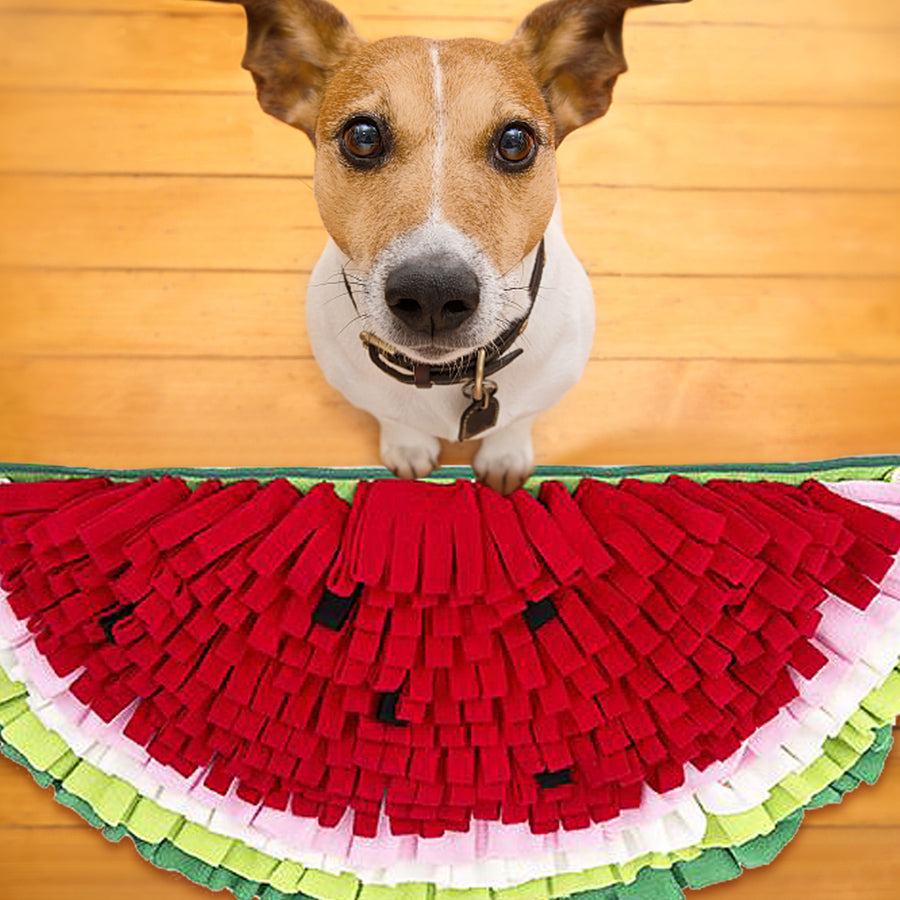 Watermelon Shape Dog Feed Mat