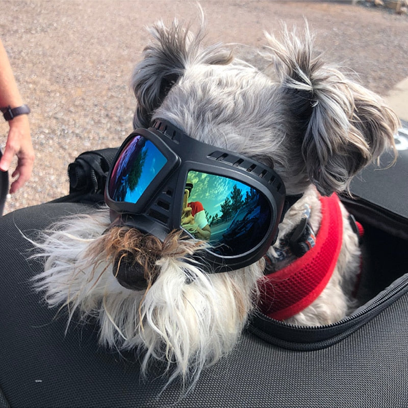 Windproof Cool Dog Goggles