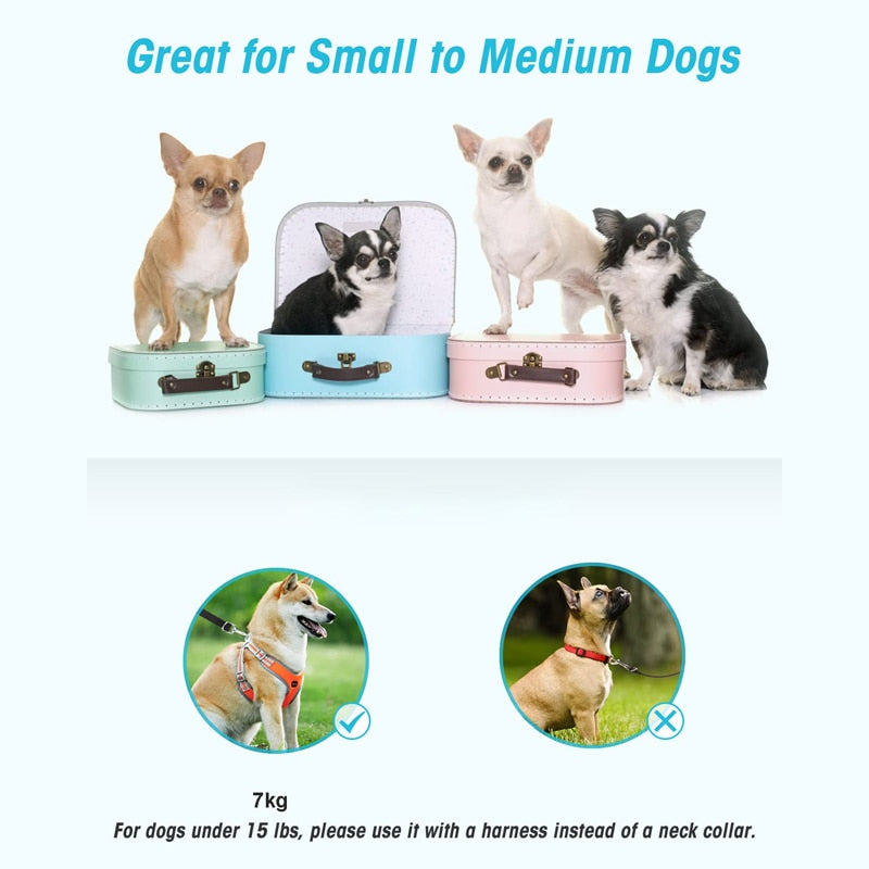 Sturdy Multifunctional Hands Free Dog Leash