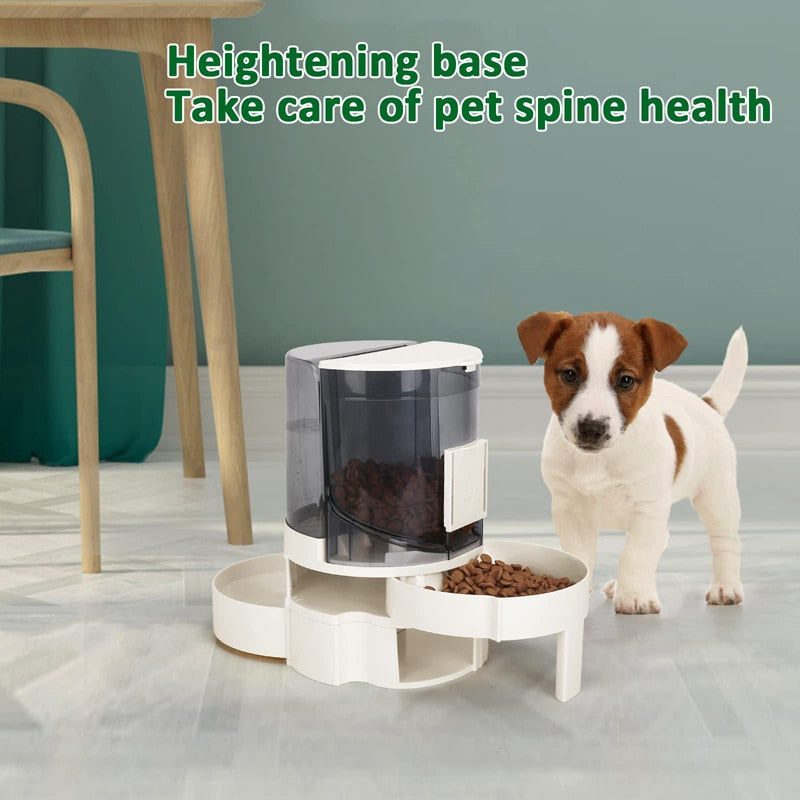 2 In 1 Eco Friendly Large Capacity Dog Feeder