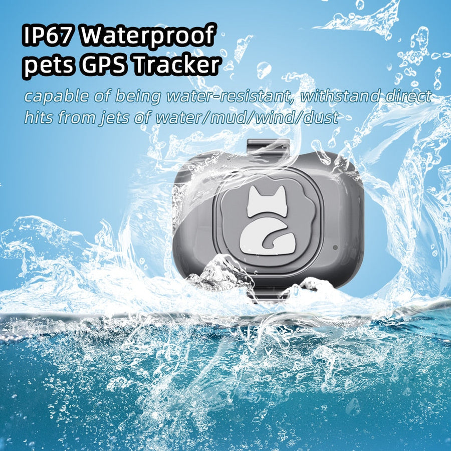 4G Smart GPS Dog Tracker