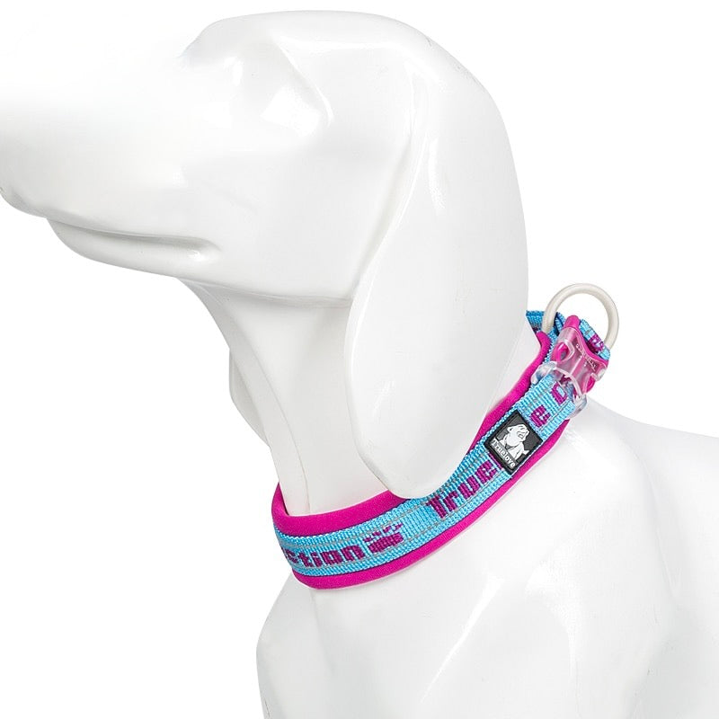 Reflective Sturdy Duraflex Buckle Dog Collar