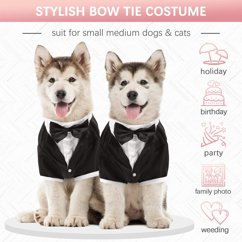 Formal Tuxedo Black Tie Dog Shirt