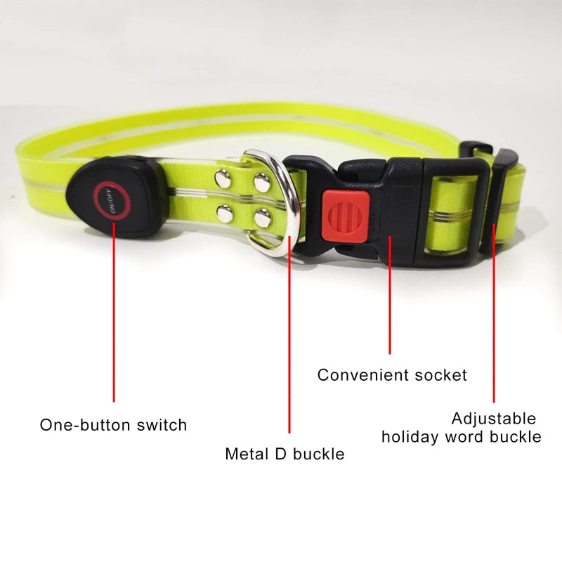 Light Up Led Dog Leashes And Collar