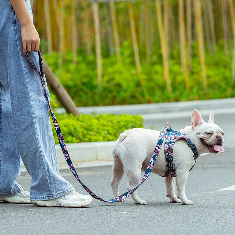 Neoprene Padded Handle Floral Dog Leash