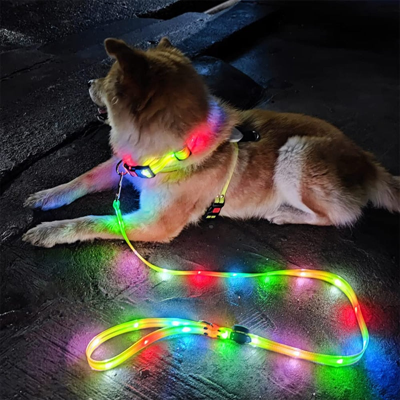 Light Up Led Dog Leashes And Collar