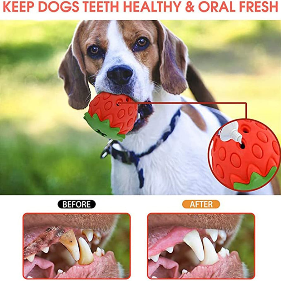 Strawberry Dog Chew Toys