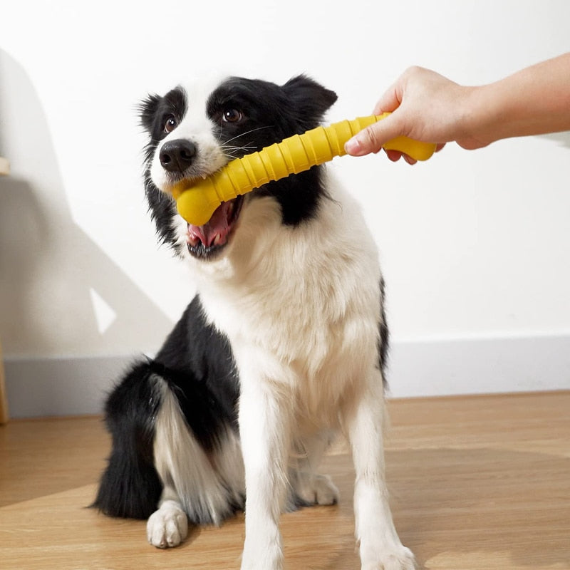 Squeaky Dog Chew Bone Toys