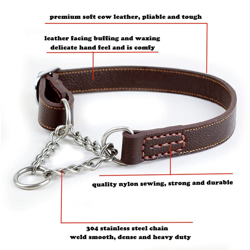 Martingale Leather Dog Collar