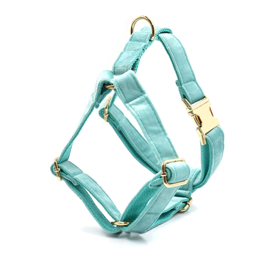 Luxury Tiffany Blue Dog Harness