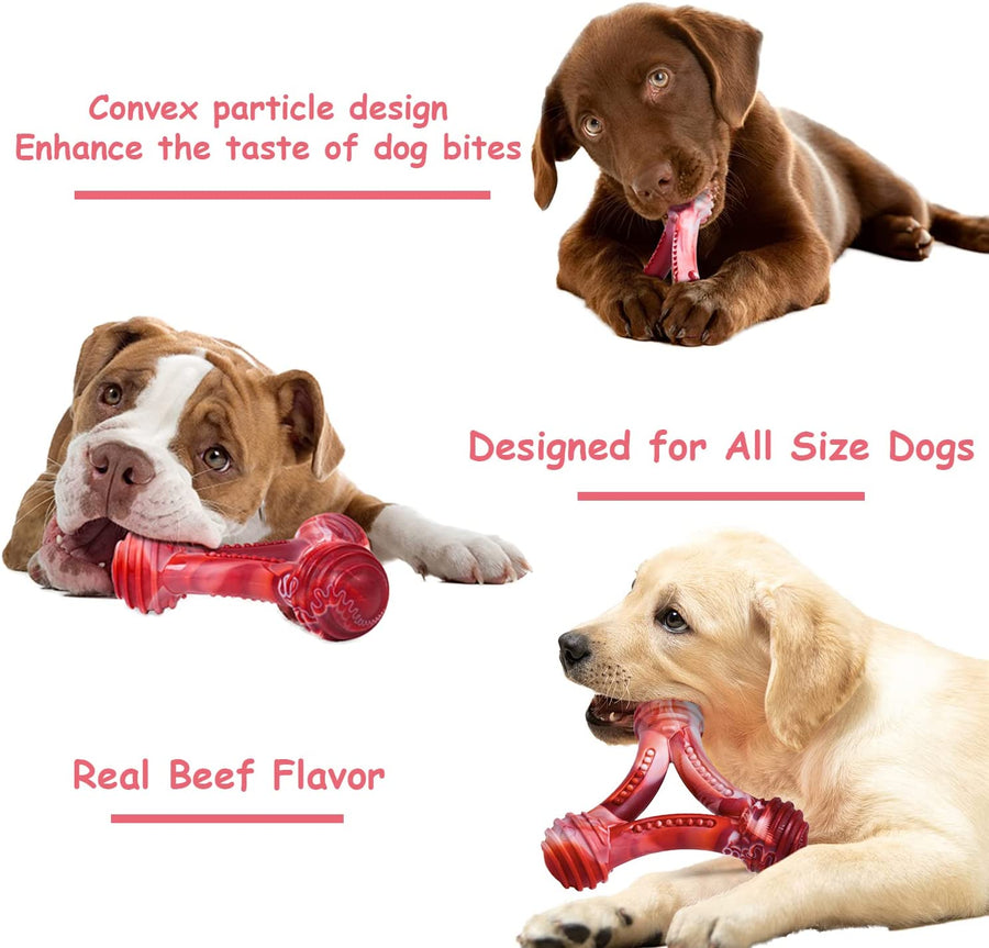 Tough Real Beef Scent Dog Chew Toy