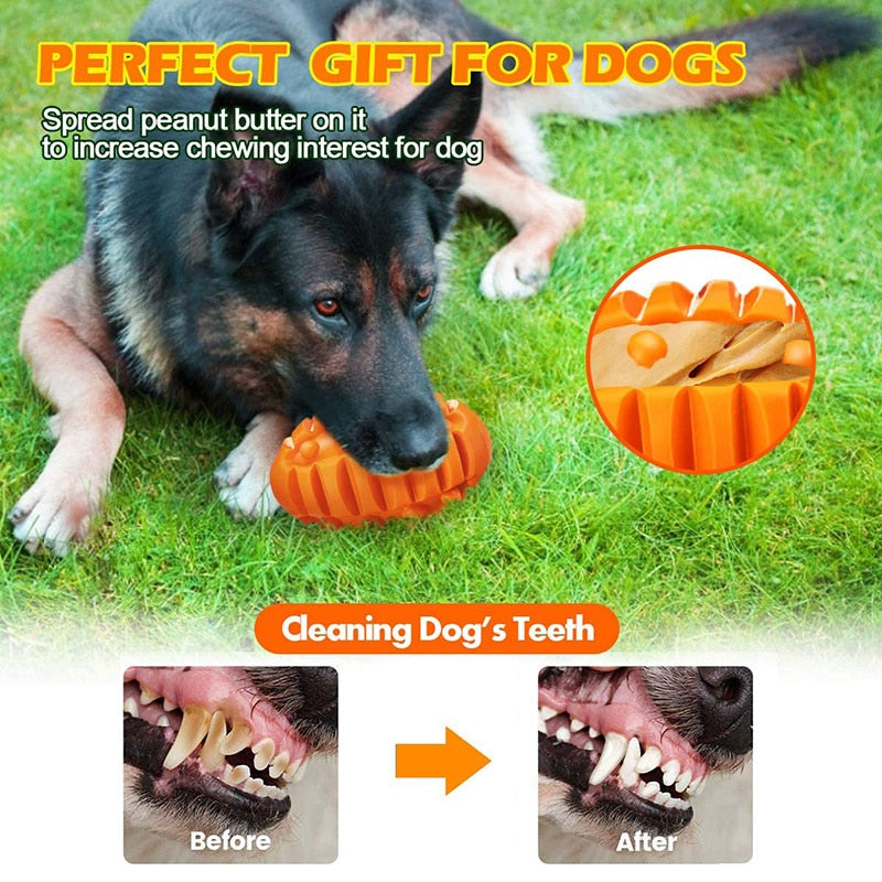 Ultra Tough Rubber Squeaky Dog Toys